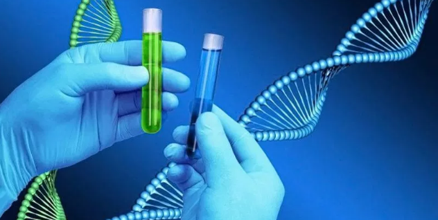 Comment effectue-t-on un test ADN ? Comment effectue-t-on un test ADN ?